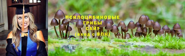 прущая мука Усмань