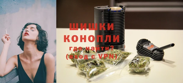 гидра Костерёво