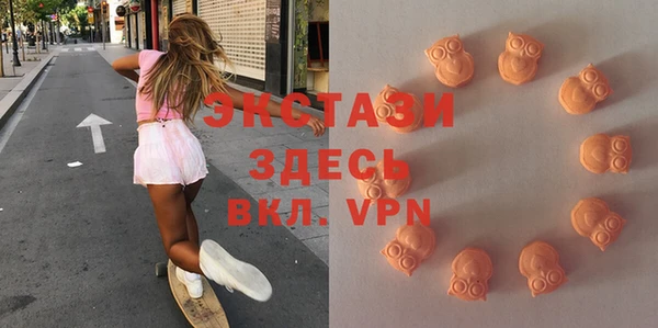 гидра Костерёво