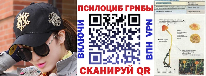 Купить закладки  Балтийск  Псилоцибиновые грибы прущие грибы 