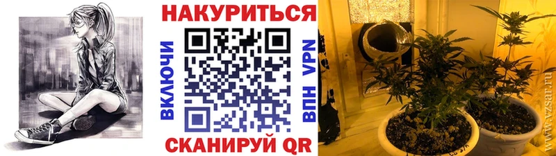МАРИХУАНА тримм  Купить закладки  Балтийск 